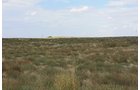 Property photo 123 - LAND AUCTION, 3255+/- Acres offered in 13 Tracts